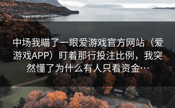 中场我瞄了一眼爱游戏官方网站（爱游戏APP）盯着那行投注比例，我突然懂了为什么有人只看资金…