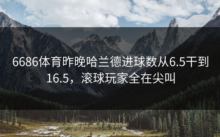 6686体育昨晚哈兰德进球数从6.5干到16.5，滚球玩家全在尖叫