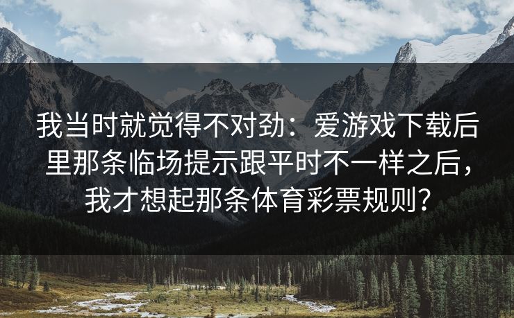 我当时就觉得不对劲：爱游戏下载后里那条临场提示跟平时不一样之后，我才想起那条体育彩票规则？
